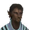 Male Inarian