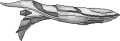 Thumbnail for version as of 18:43, 22 August 2025
