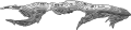 Thumbnail for version as of 18:46, 22 August 2025