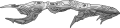 Thumbnail for version as of 18:46, 22 August 2025