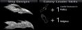 Thumbnail for version as of 04:39, 7 July 2025